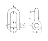 Proboat - Standard Stainless Steel D Shackle