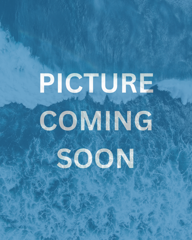 Sandy Point Deluxe Beach Bag